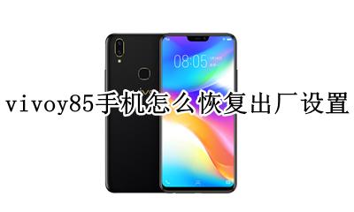vivoy85手机怎么恢复出厂设置 手机vivoy85恢复出厂设置在哪里