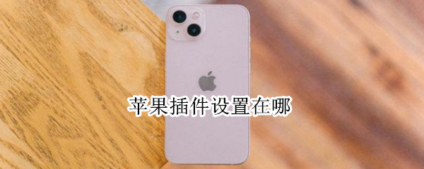 苹果插件设置在哪