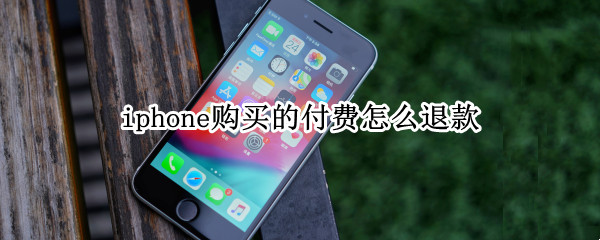 iphone购买的付费怎么退款