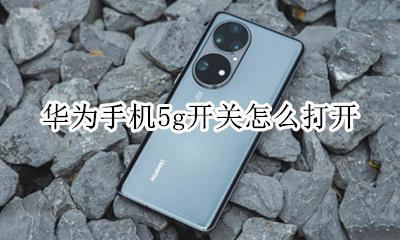 华为5g开关在哪 华为手机5g开关怎么打开