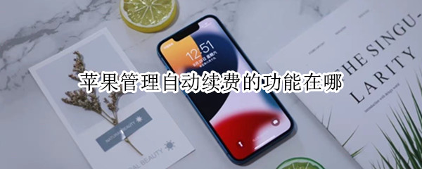 苹果管理自动续费的功能在哪