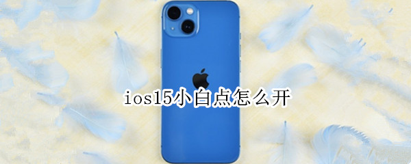 ios15小白点怎么开