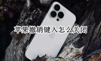 苹果撤销键入怎么关闭 苹果的退出键怎么设置