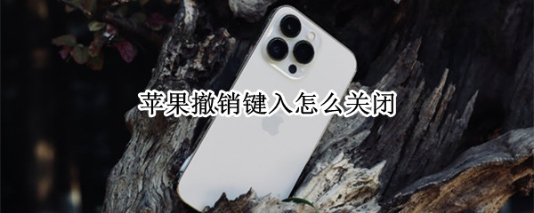 苹果撤销键入怎么关闭