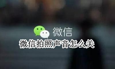 微信拍照声音怎么关 微信里拍照怎么关声音