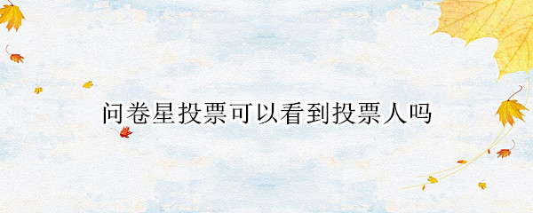 问卷星投票可以看到投票人吗