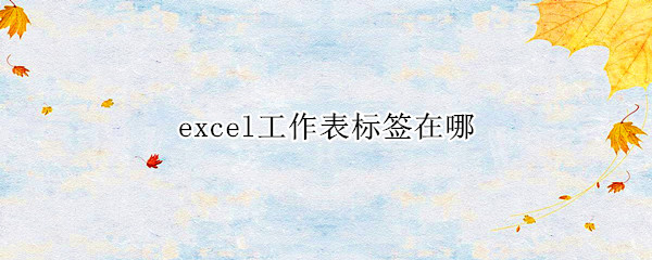 excel工作表标签在哪