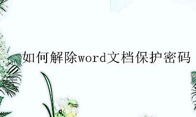 如何去除word密码保护 如何解除word文档保护密码