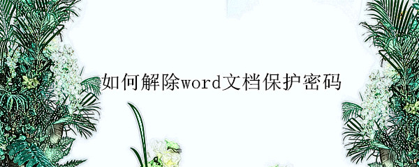 如何解除word文档保护密码