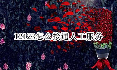 12123有人工接电话吗 12123怎么接通人工服务