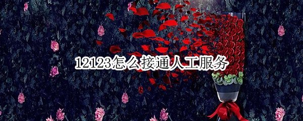 12123怎么接通人工服务