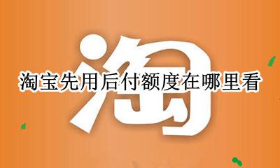 淘宝先用后付额度怎么看 淘宝先用后付额度在哪里看