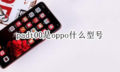 padt00是oppo什么型号 oppo型号padmoo是哪款