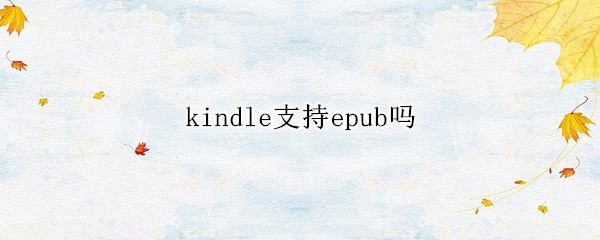 kindle支持epub吗