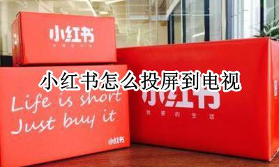 小红书怎么投屏到电视 小红书里的视频怎么投屏到电视上