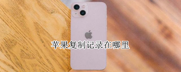 苹果复制记录在哪里