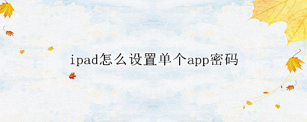 ipad怎么设置单个app密码