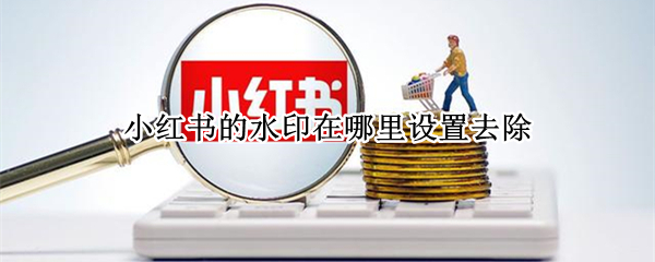 小红书的水印在哪里设置去除