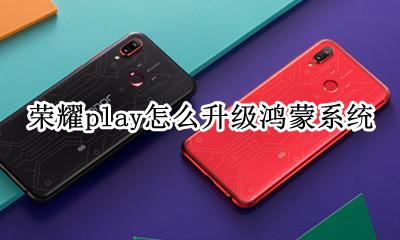 荣耀play怎么升级鸿蒙系统 荣耀play3能升级鸿蒙系统吗