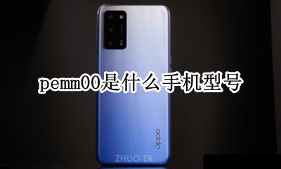 PEHM00是什么型号 pemm00是什么手机型号