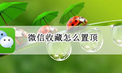 微信收藏怎么置顶 收藏的东西怎么置顶