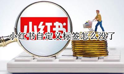 小红书自定义标签怎么没了 小红书自定义标签无法点击哦