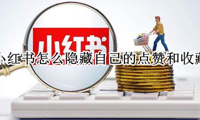 小红书收藏和赞能隐藏吗 小红书怎么隐藏自己的点赞和收藏