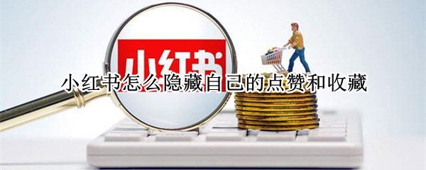 小红书怎么隐藏自己的点赞和收藏