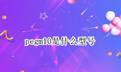 pe有哪些型号 pegm10是什么型号