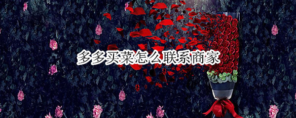 多多买菜怎么联系商家