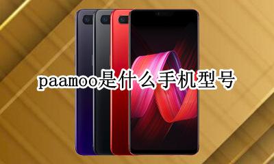 paamoo是什么手机型号 pacmoo是什么手机型号多少钱