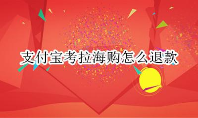 支付宝考拉海购怎么退款 支付宝怎样取消考拉海购