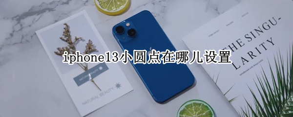 iphone13小圆点在哪儿设置