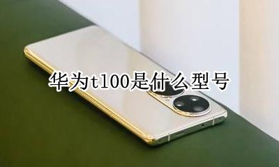 华为tl00是什么型号 华为tn00是什么型号
