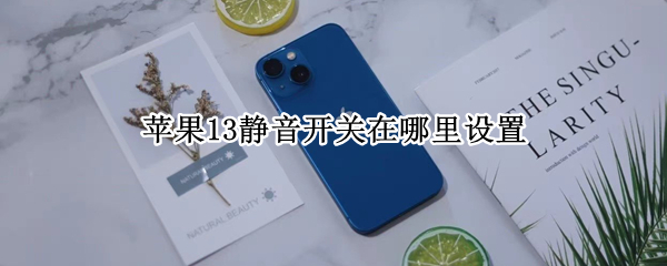 苹果13静音开关在哪里设置