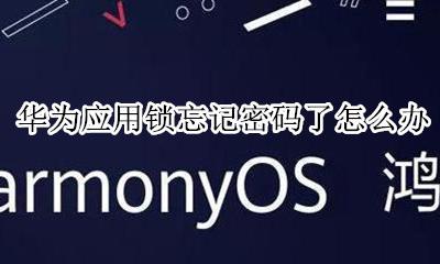 华为应用锁忘记密码了怎么办 华为忘记应用锁密码该怎么办