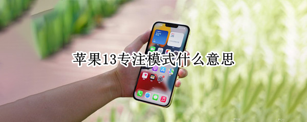 苹果13专注模式什么意思