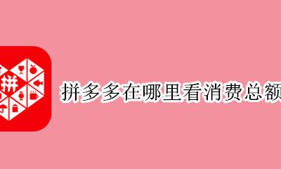 拼多多在哪里看消费总额 拼多多怎么查看总消费额