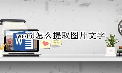 word怎么提取图片文字 word文档怎么提取图片文字
