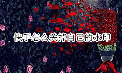 快手怎么关掉水印? 快手怎么关掉自己的水印