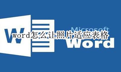 word怎么让照片适应表格 word怎么让照片充满表格