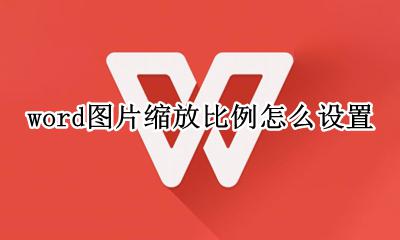 word怎么按比例缩小图片 word图片缩放比例怎么设置