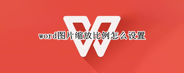 word图片缩放比例怎么设置