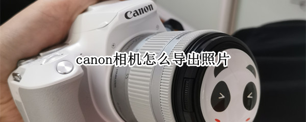 canon相机怎么导出照片