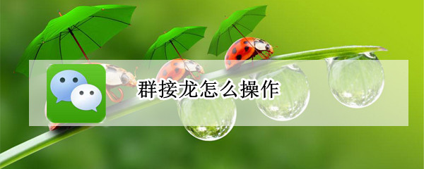 群里怎么接龙