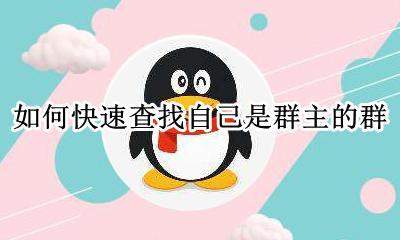 如何查看我是群主的群 如何快速查找自己是群主的群
