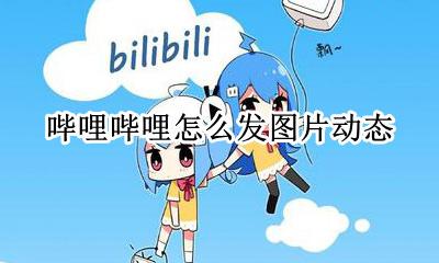 哔哩哔哩怎么发图片动态 哔哩哔哩怎么发文字动态