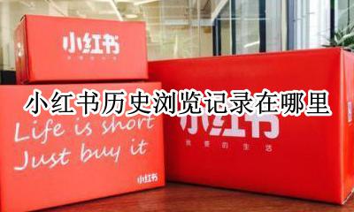 小红书历史浏览记录在哪里 小红书的历史记录在哪里看