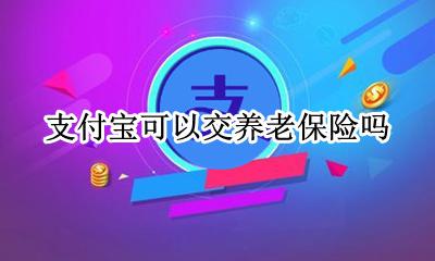 支付宝可以交养老保险吗 支付宝上可以交养老保险吗