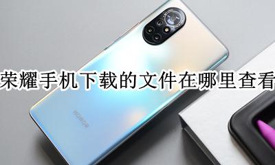 荣耀手机下载的文件在哪里查看 荣耀手机浏览器下载的文件在哪里